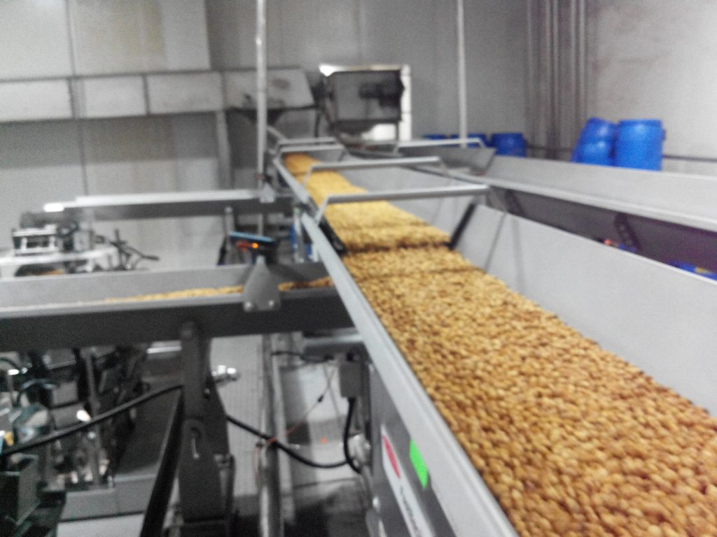 automatic food processing plant in KSA